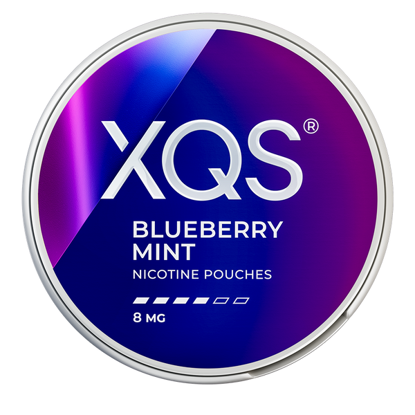 XQS Blueberry Nicotine Pouches – Wholesale & Bulk Supply