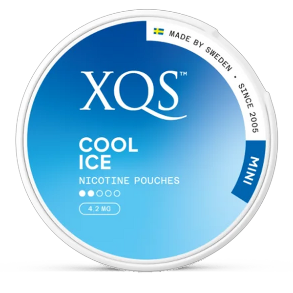 XQS Mint Nicotine Pouches – Wholesale & Bulk Supply