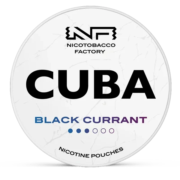CUBA Black currant 16mg Nicotine Pouches – Wholesale & Bulk Supply