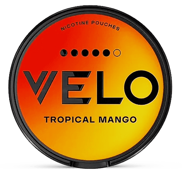 VELO Tropical Mango Nicotine Pouches – Wholesale & Bulk Supply