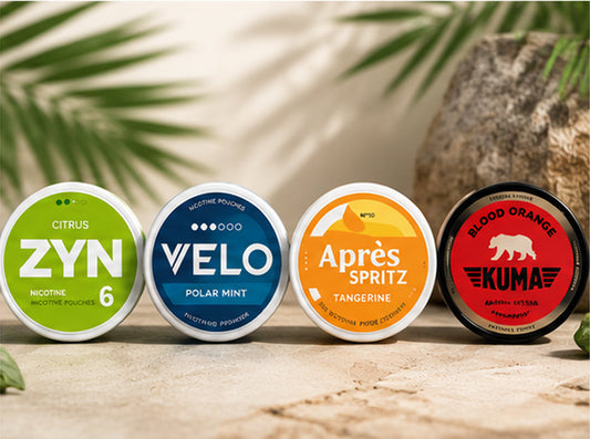 Top Nicotine Pouch Brands to Stock in 2026