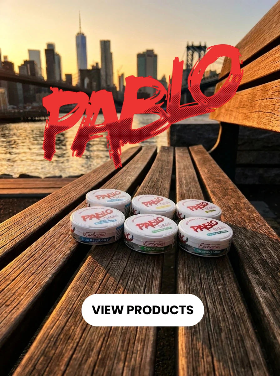PABLO Nicotine Pouches Wholesale & Bulk Supply | NicoExport