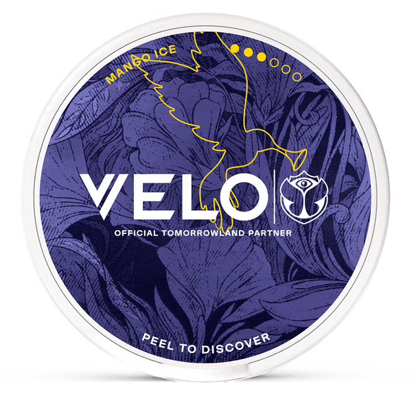 VELO Mango Ice Nicotine Pouches – Wholesale & Bulk Supply