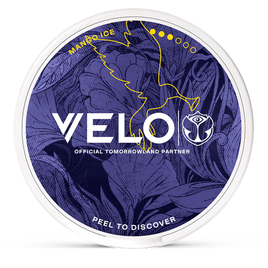 VELO Mango Ice Nicotine Pouches – Wholesale & Bulk Supply