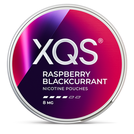 XQS Blackcurrant Nicotine Pouches – Wholesale & Bulk Supply
