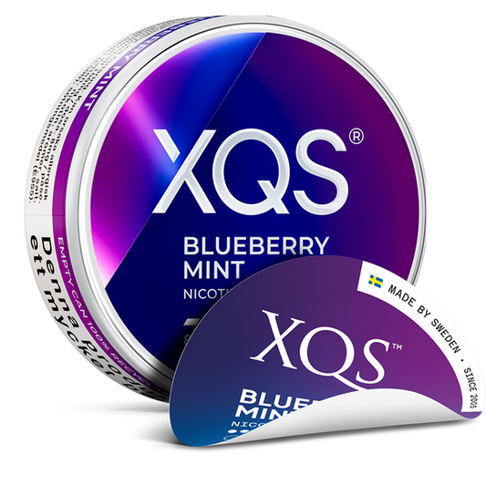 XQS Blueberry Nicotine Pouches – Wholesale & Bulk Supply