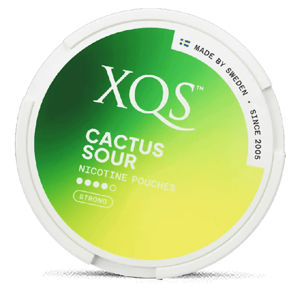 XQS Cactus Nicotine Pouches – Wholesale & Bulk Supply