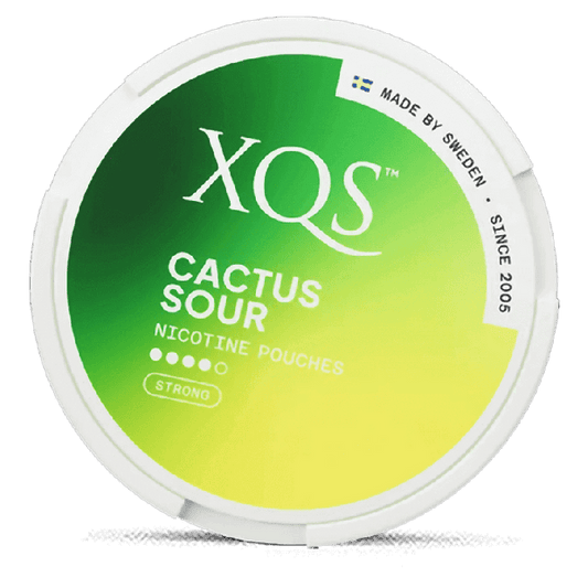 XQS Cactus Nicotine Pouches – Wholesale & Bulk Supply