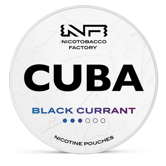 CUBA Black currant 16mg Nicotine Pouches – Wholesale & Bulk Supply